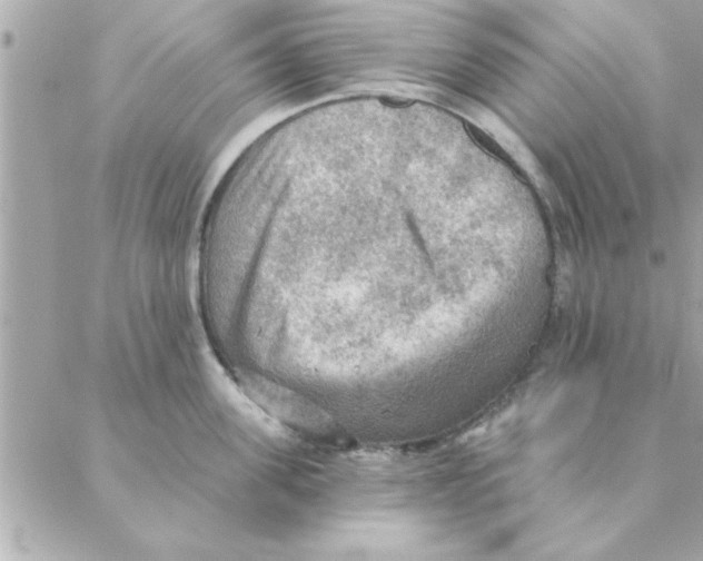 X0000088160955200706051048