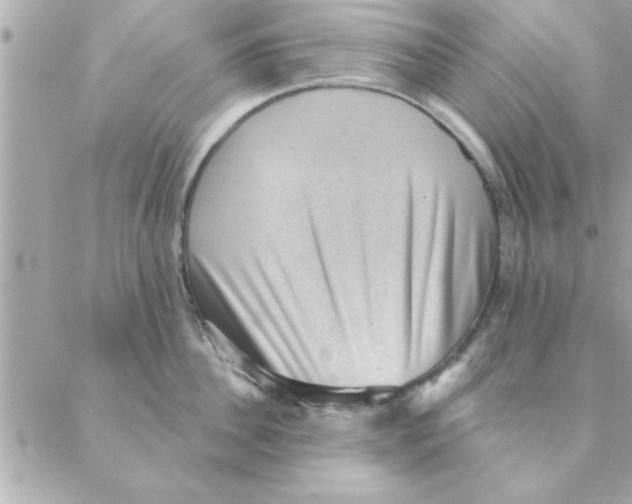 X0000088160956200706051048