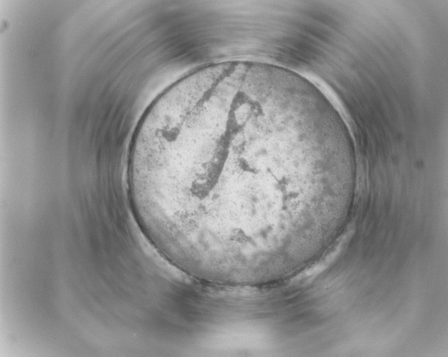 X0000088160957200706051048