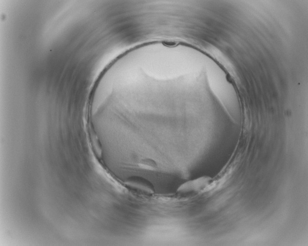 X0000088160958200706051048