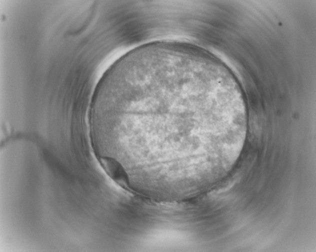 X0000088160959200706051048