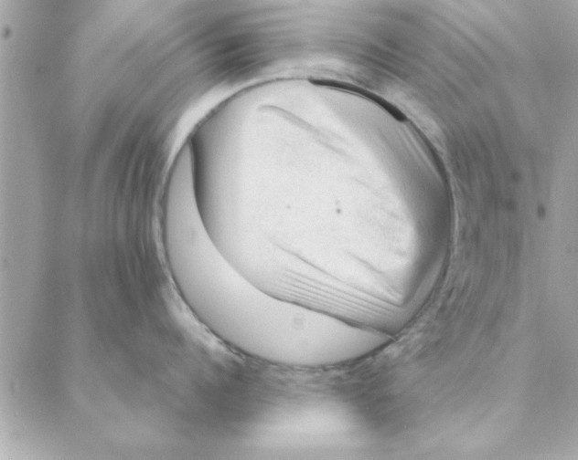 X0000088160960200706051048