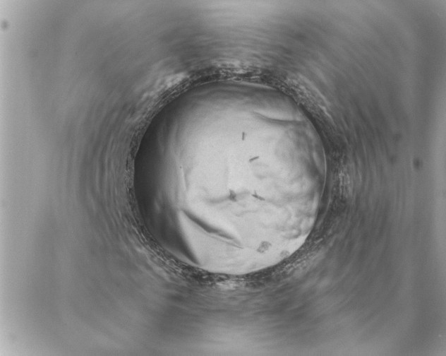 X0000088160961200706051047