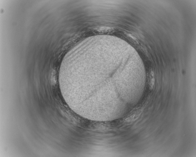 X0000088160962200706051047