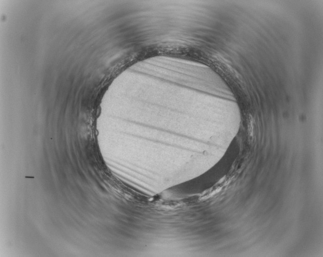 X0000088160964200706051047