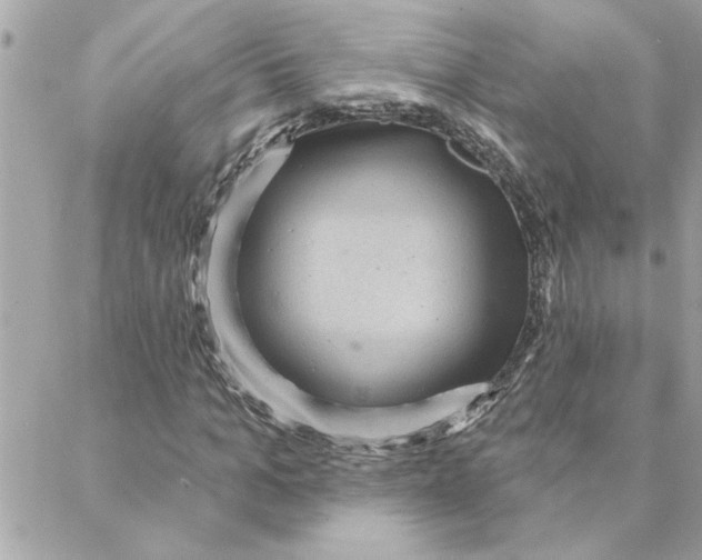 X0000088160965200706051047