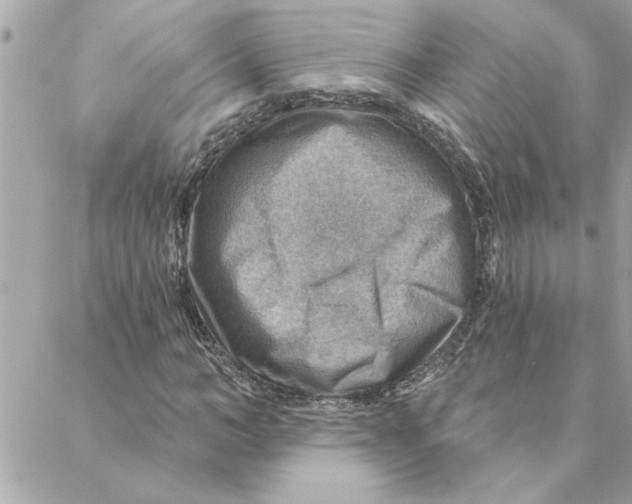 X0000088160966200706051047