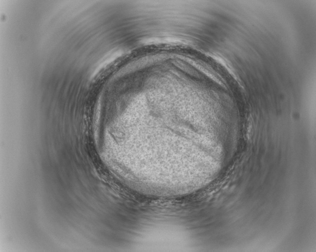 X0000088160967200706051047