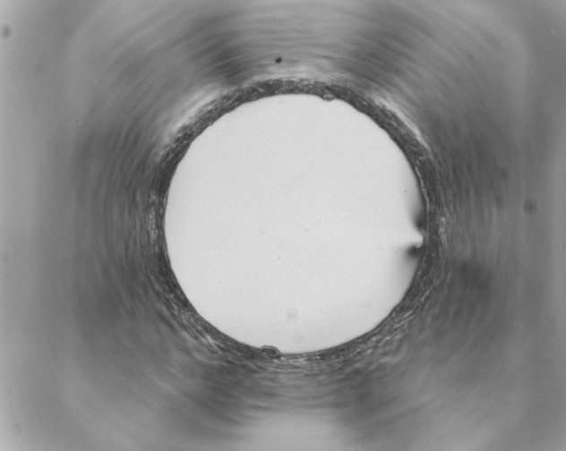 X0000088160968200706051047