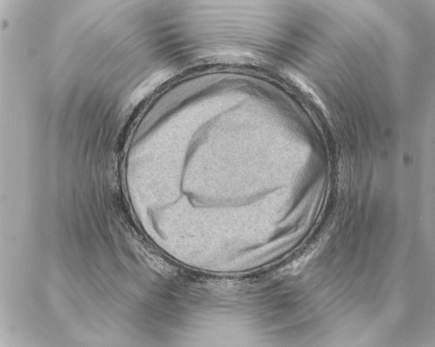 X0000088160970200706051047