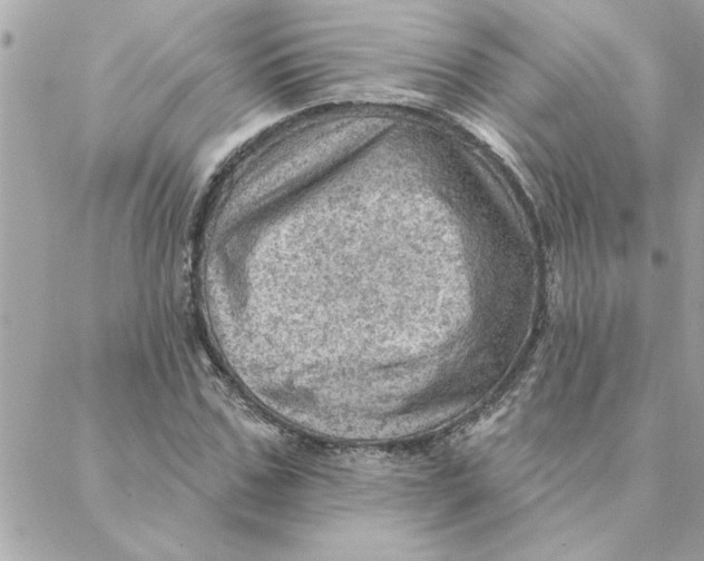 X0000088160971200706051047