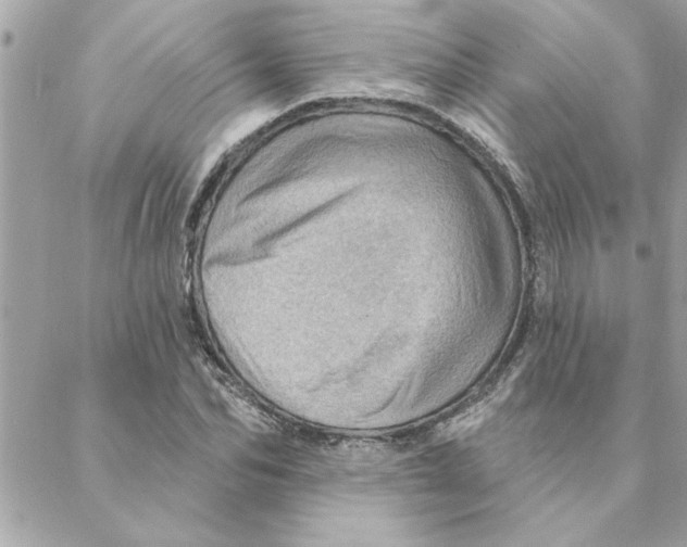 X0000088160974200706051047