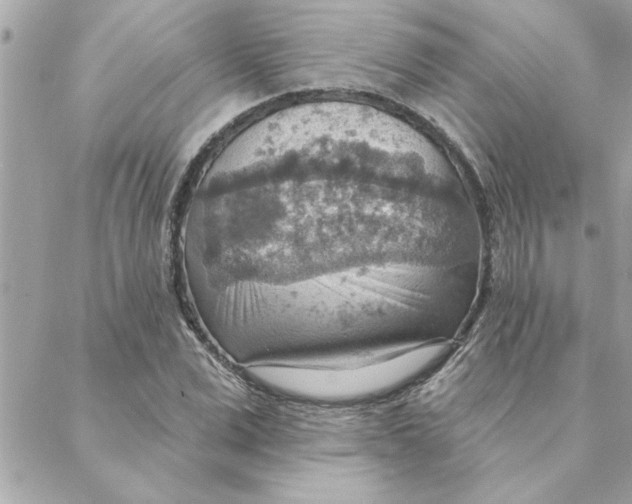 X0000088160975200706051047