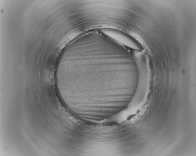 X0000088160977200706051047