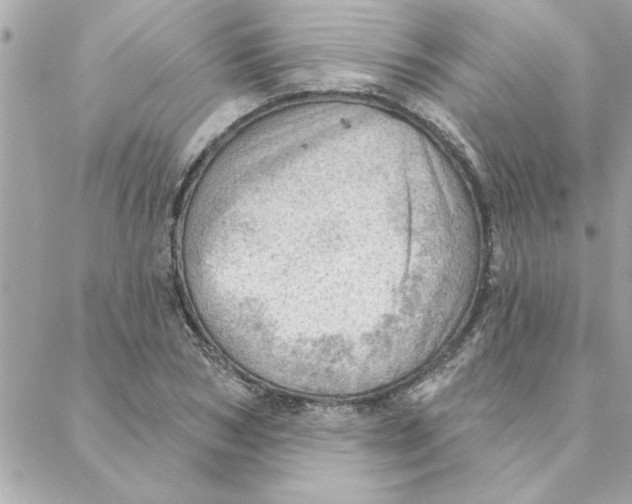 X0000088160978200706051047