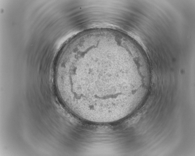 X0000088160979200706051047