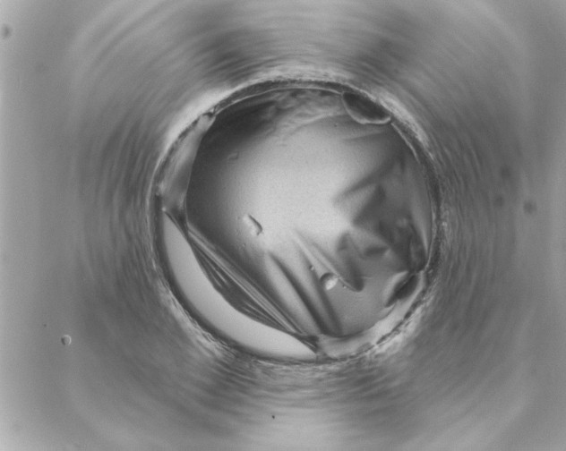 X0000088160981200706051047