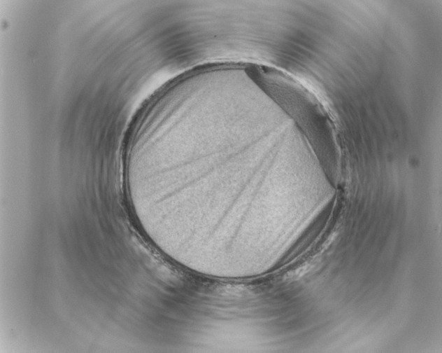 X0000088160982200706051047