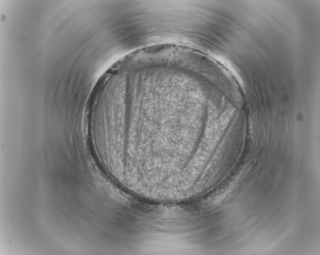 X0000088160983200706051047