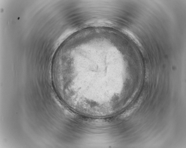 X0000088160986200706051047