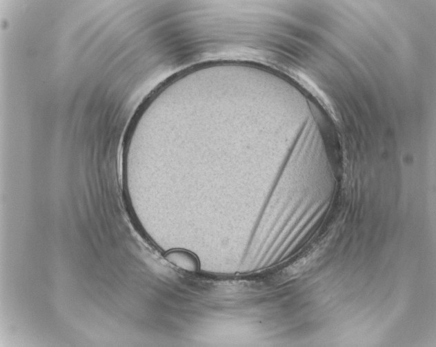 X0000088160988200706051047