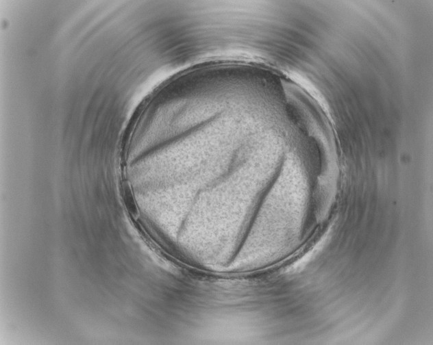 X0000088160989200706051047