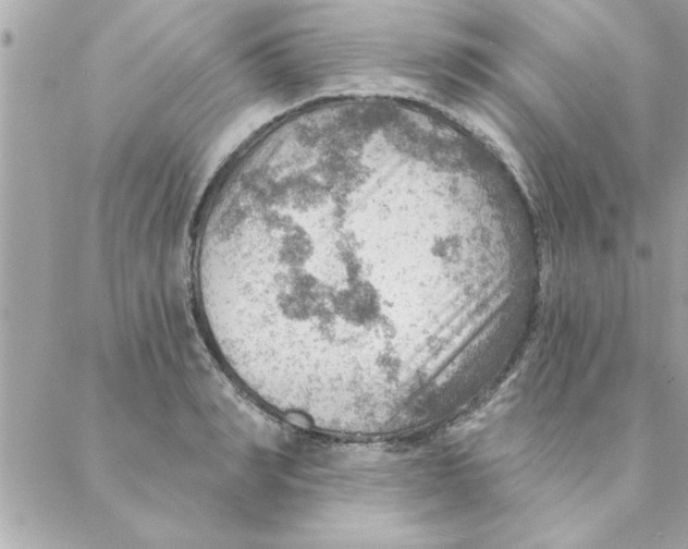 X0000088160990200706051047