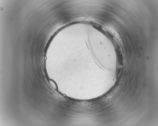 X0000088160992200706051047