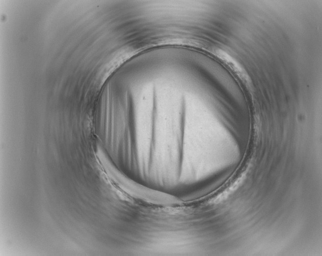 X0000088160993200706051047