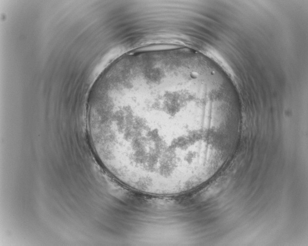 X0000088160994200706051047