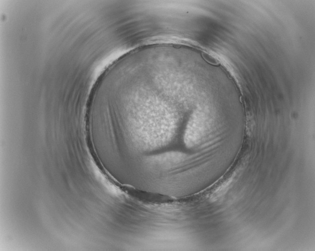 X0000088160995200706051047