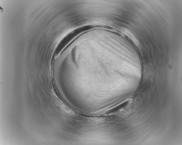 X0000088160996200706051047