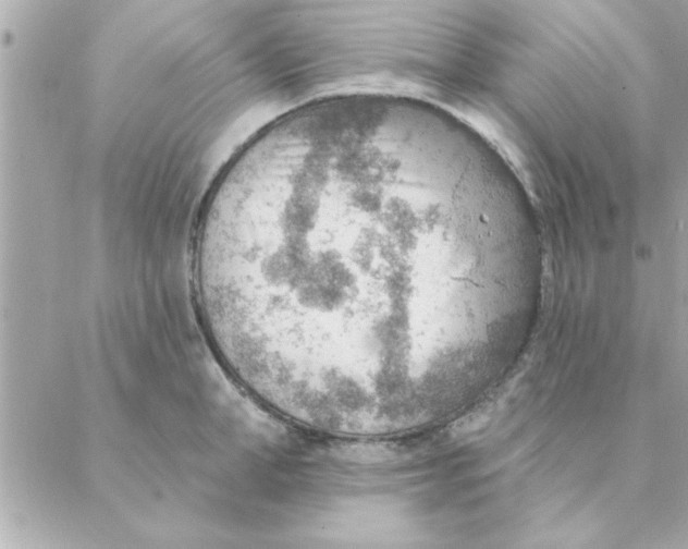 X0000088160998200706051047