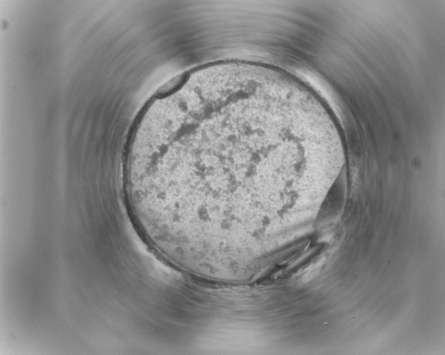 X0000088160999200706051047