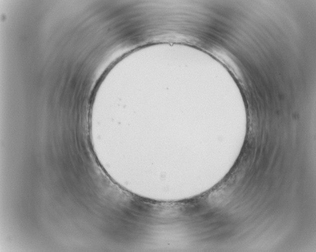 X0000088161000200706051047