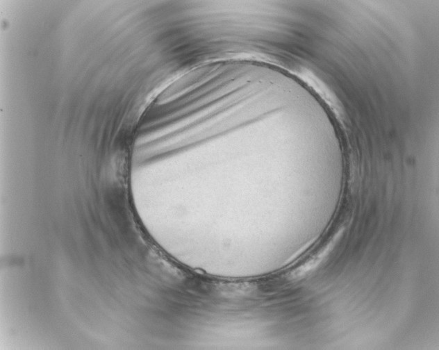 X0000088161001200706051047