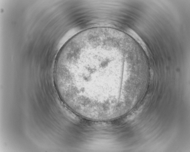 X0000088161002200706051047