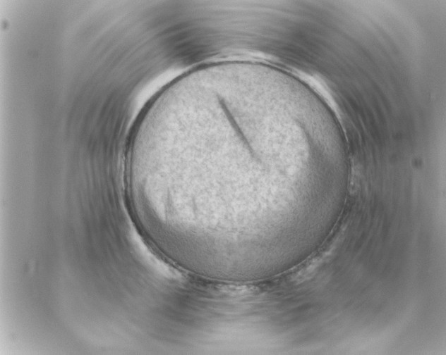 X0000088161003200706051047