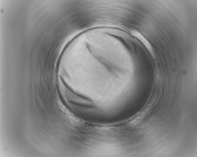 X0000088161004200706051047