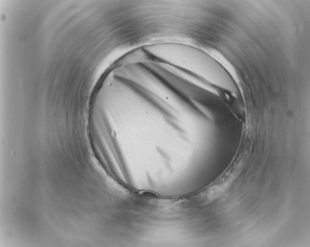 X0000088161005200706051046