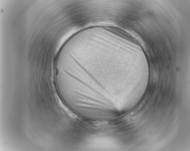 X0000088161006200706051046