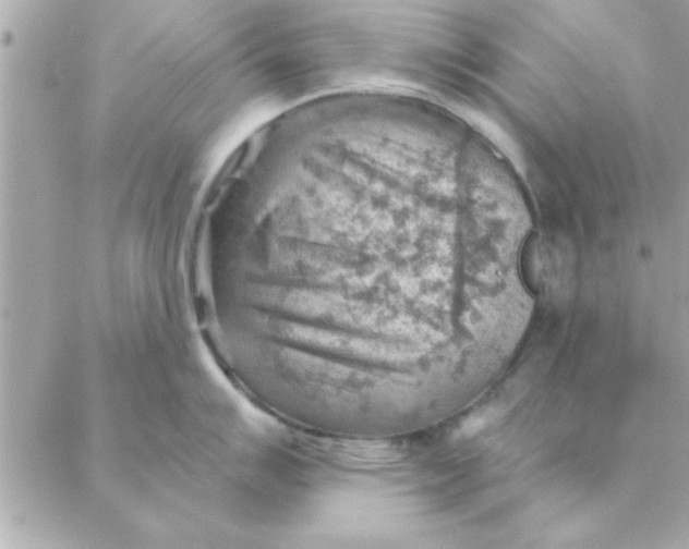 X0000088161007200706051046