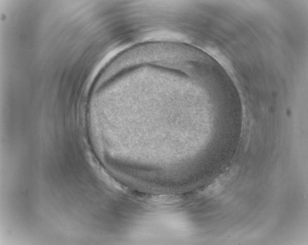 X0000088161008200706051046