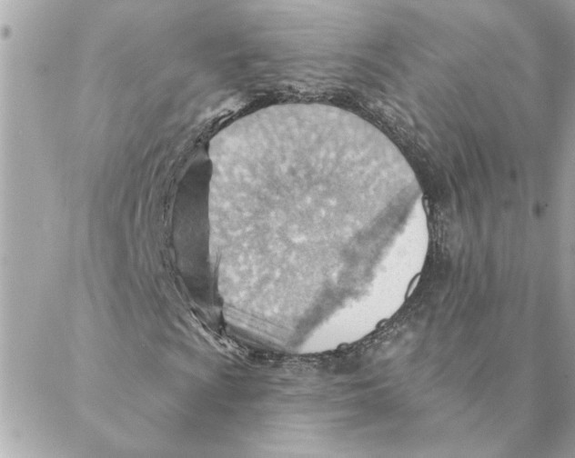 X0000088161009200706051046