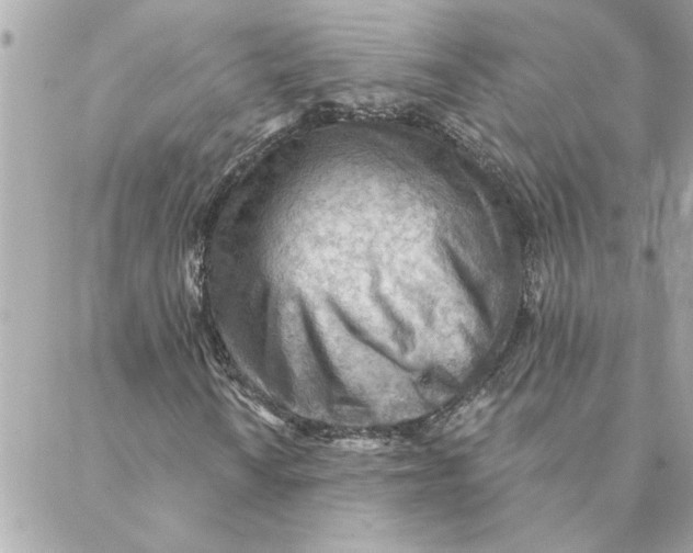 X0000088161010200706051046