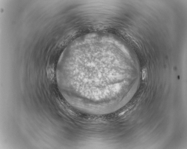 X0000088161011200706051046