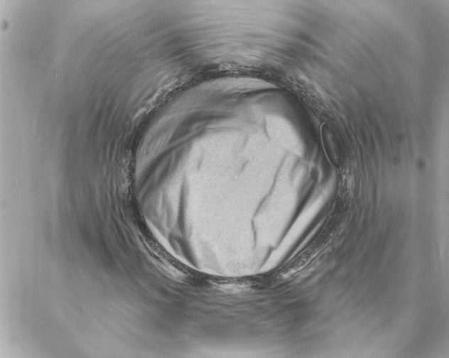 X0000088161012200706051046