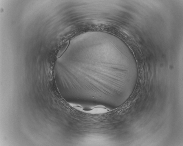 X0000088161013200706051046