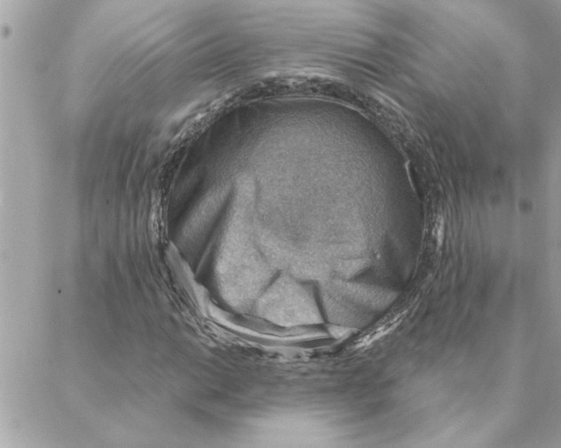 X0000088161014200706051046