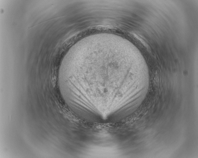 X0000088161015200706051046